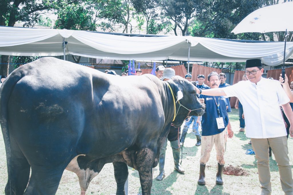 Bank Mandiri Bagikan Daging 760 Hewan Kurban Idul Adha 1444 H Ke