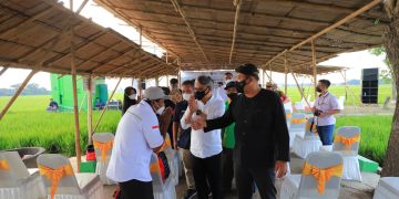 OJK Dorong Korporatisasi Pertanian Lewat Sistem Klaster