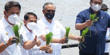 OJK Kembangkan Ekosistem Pembiayaan KUR Klaster Pertanian dan Peternakan