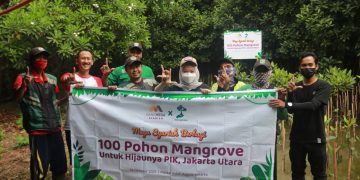 Bank Mega Syariah Cegah Abrasi Laut Dengan Tanam Pohon Mangrove