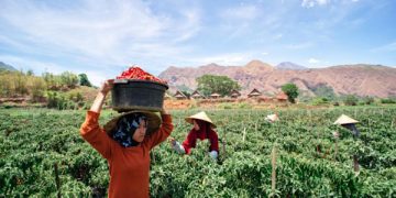 Manfaat KUR, “Obat Kuat” UMKM Hadapi Pandemi