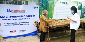 Nasabah Binaan BRI Sulap Rumput Jadi Sedotan, Kok Bisa?