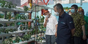 Berdaya Bersama BRI, Ini Kisah Pahlawan Kampung Sayur Cempako