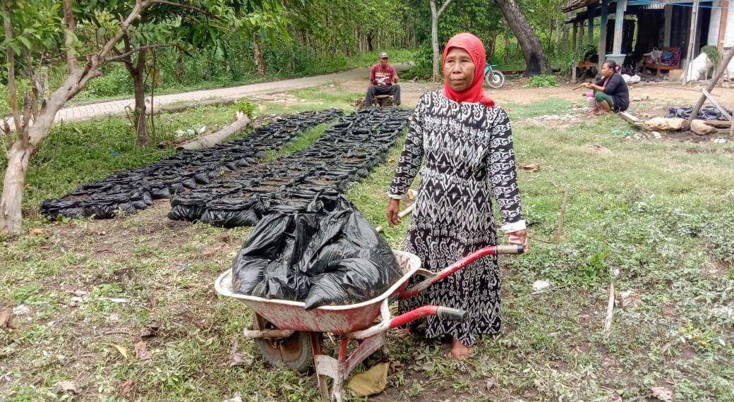 Aset Kripto NFT Dorong Perubahan Petani Perempuan Indonesia