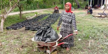 Aset Kripto NFT Dorong Perubahan Petani Perempuan Indonesia