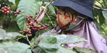 Begini Cara LPEI Dorong UKM Naik Kelas dan Mendunia