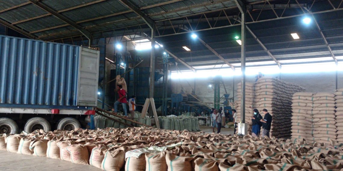 Tutup Tahun, PPI Rampungkan Ekspor Kopi ke Mesir Dengan Nilai US$1,2 Juta