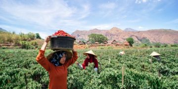 BRI Dorong Momentum Pemulihan Ekonomi Tahun Depan