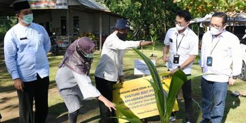 BTN Dorong Penanaman Bibit Kelapa Hibrida