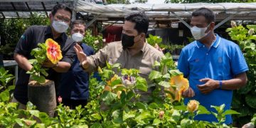 Kementerian BUMN dan BRI Berdayakan Klaster Tanaman Hias Desa Bunga