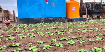 Kodam Udayana Bantu Warga Desa Pana NTT Nikmati Air Bersih
