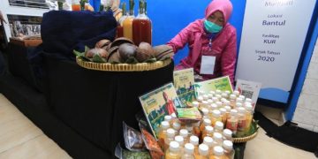 BRI Dorong Pemerataan Ekonomi Melalui Holding Ultra Mikro