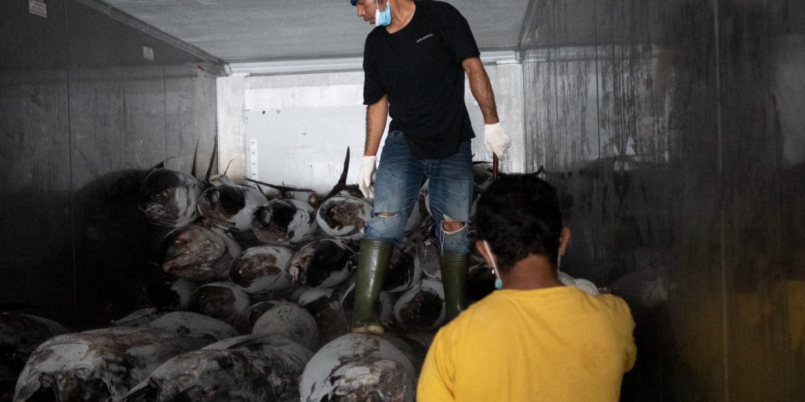 LPEI Kolaborasi dengan Sarinah, Ekspor Perdana Ikan Tuna ke Vietnam