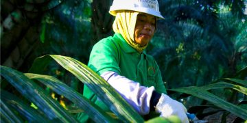 TLDN Bukukan Kenaikan Laba 129% jadi Rp531,2 Miliar