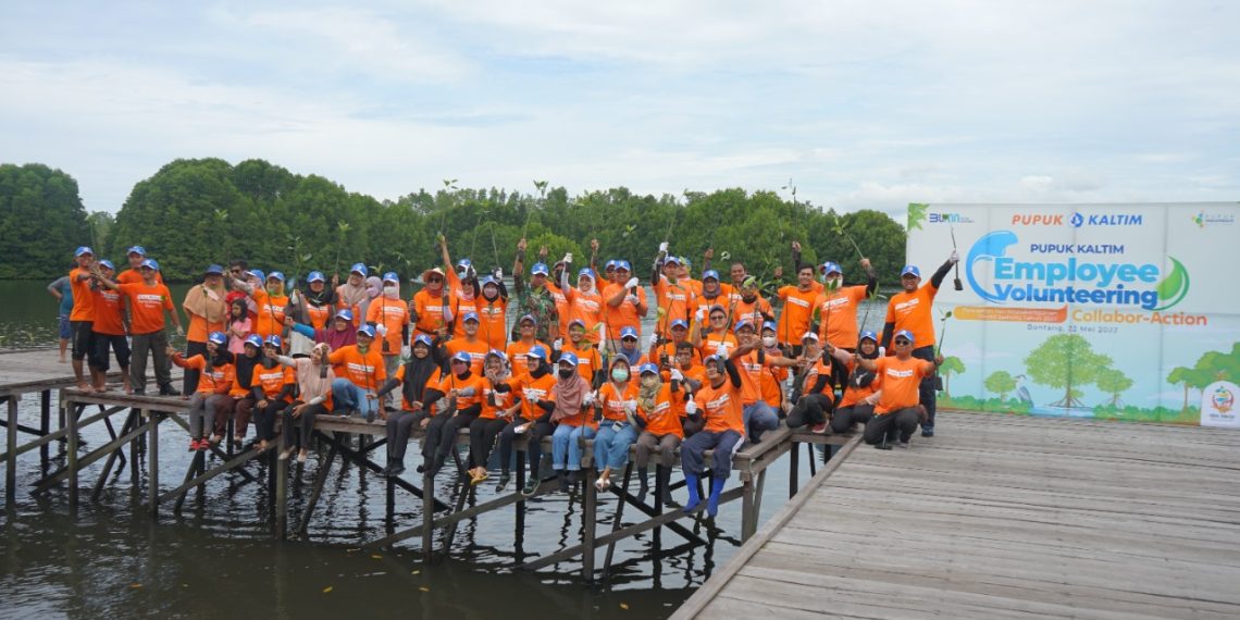Dukung Kelestarian Ekosistem Laut, Pupuk Kaltim Tanam 1.500 Bibit Mangrove