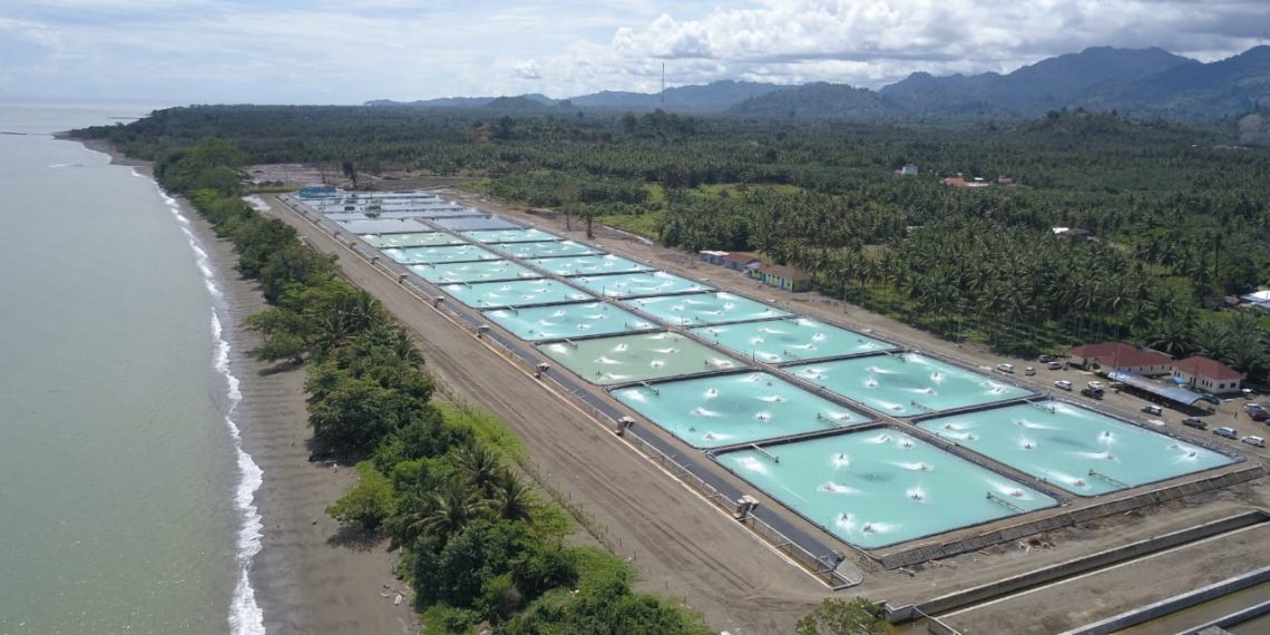 Startup DELOS Terus Perluas Industri Akuakultur di Pasar Internasional