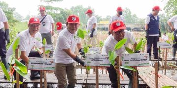 Program CSR Bank DKI dengan Penanaman Bibit Mangrove