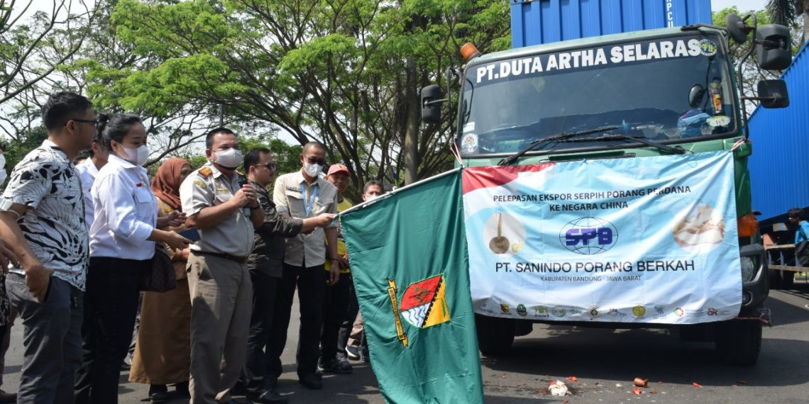 kredit pola kemitraan