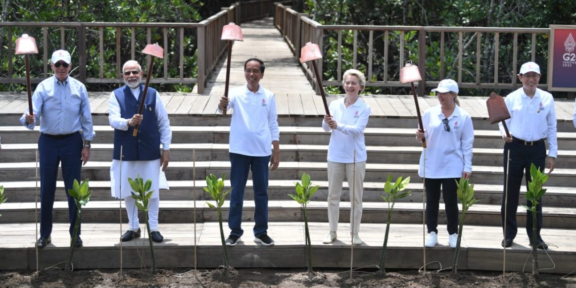Antisipasi Perubahan Iklim, Jokowi Ajak Delegasi KTT G20 Tanam Mangrove