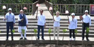 Antisipasi Perubahan Iklim, Jokowi Ajak Delegasi KTT G20 Tanam Mangrove