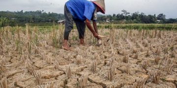 Teknologi Masih Jadi Tantangan Bagi Komoditas Pangan Impor Nasional