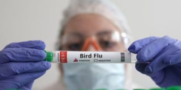 Kasus Flu Burung Merebak, Brazil Tetapkan Darurat Kesehatan