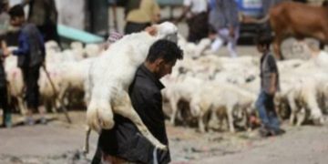 Suka Cita Perayaan Idul Adha 2023 di Sejumlah Negara