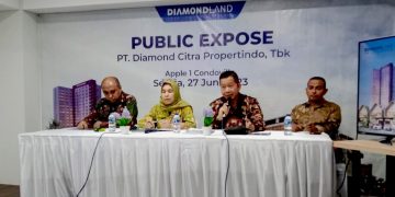 Optimis Kinerja Positif, Begini Strategi Diamondland (DADA) di 2023