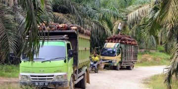 Pembentukan SupportingCo Optimalkan Pemanfaatan Lahan PTPN Group 