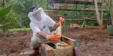 Berdayakan Lebah Untuk Merdeka Finansial