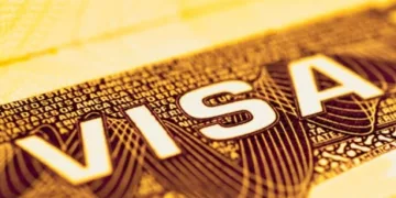 Ternyata Ini Alasan Jokowi Berikan Golden Visa untuk Investor