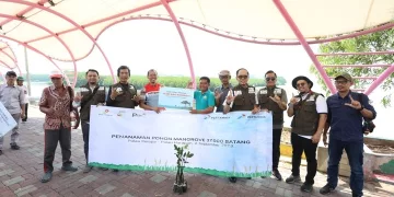 Jaga Lingkungan, PHE ONWJ dan PHE OSES Tanam 37.000 Bibit Mangrove di Kepulauan Seribu