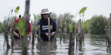 Kurangi Jejak Karbon, J Trust Bank Tanam Ribuan Mangrove