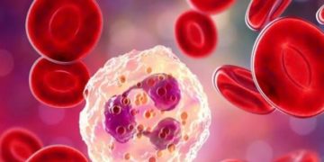 Paling Langka di Dunia! China Temukan Golongan Darah Tipe P