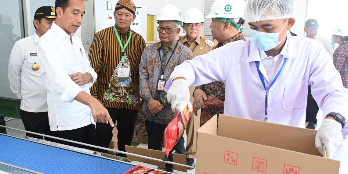 Presiden Jokowi Resmikan Pabrik Minyak Makan Merah, Segini Kapasitas Produksinya