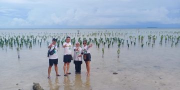 Mangrove