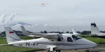 Intip Spesifikasi dan Harga Pesawat Tecnam P2006T yang Jatuh di BSD