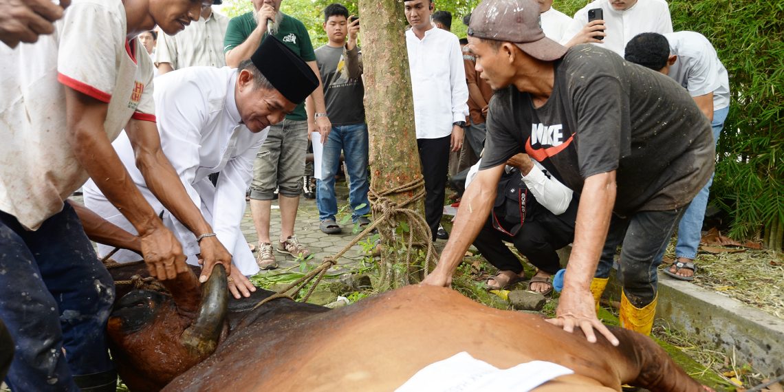 Bank Sumut dan Pemprov Sumut Kurban