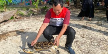 Pertamina Hulu Energi Offshore South East Sumatera (PHE OSES)