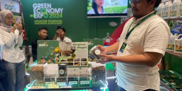 Budidaya maggot yang diterapkan oleh GGF dalam mengurai limbah sampah