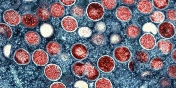 Ilustrasi virus mpox