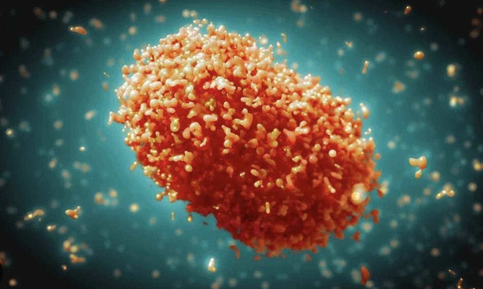 Ilustrasi virus mpox (foto:istimewa)