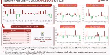 Deflasi Juli 2024 BPS