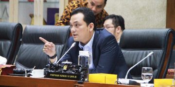 Wakil Ketua Komisi VI DPR RI Martin Manurung