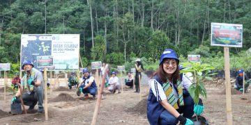 Hutan FIFGROUP yang terletak di Wilayah Perhutanan Sosial Desa Jayamekar, Kabupaten Garut, Jawa Barat ini memiliki luas 20 hektar