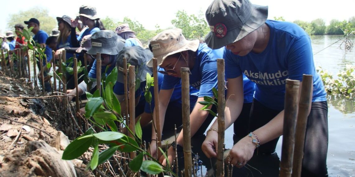 Aksi tanam 3.000 mangrove