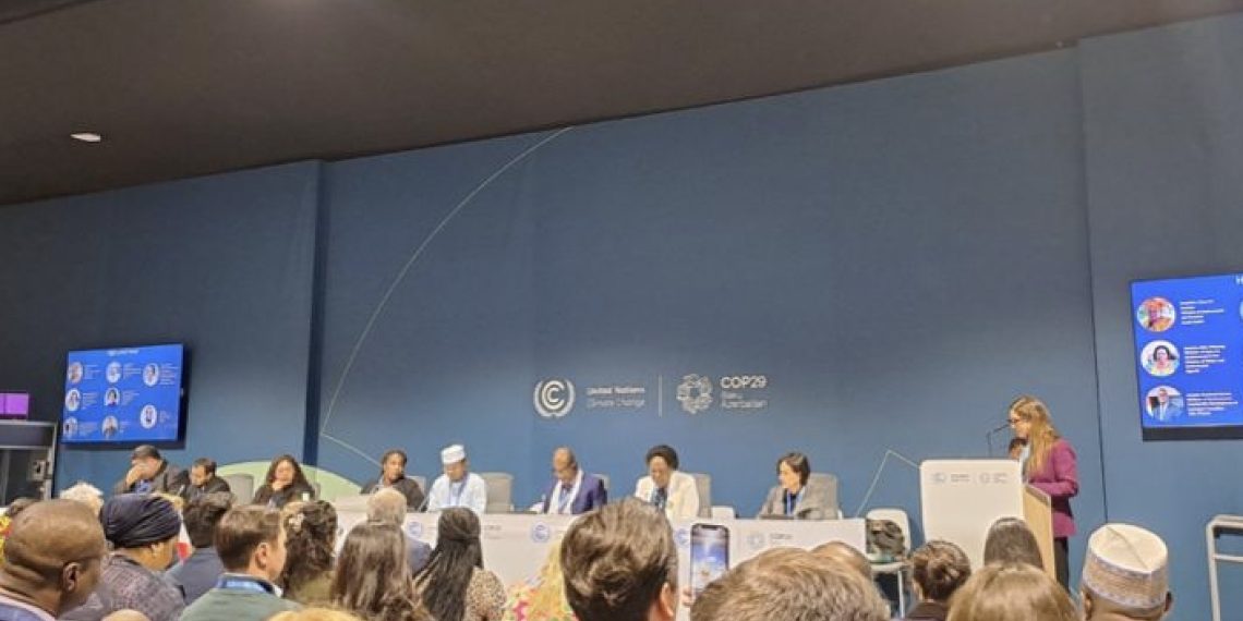 Indonesia dan negara berkembang lainnya menuntut komitmen lebih jelas terhadap negara maju terkait pendanaan iklim dalam COP29