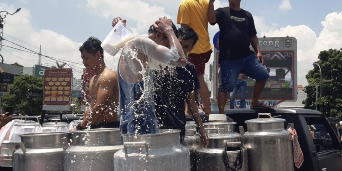 Para peternak mandi susu sebagai bentuk protes terhadap pembatasan kuota susu yang masuk ke pabrik atau Industri Pengolahan Susu (IPS) di Boyolali, Jawa Tengah, Sabtu (9/11/2024). Penyebab Peternak Boyolali Mandi Susu dan Buang 50.000 Liter Susu di TPA(foto: Kompas)