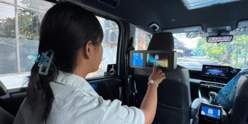 Bluebird Well Nest Tourism