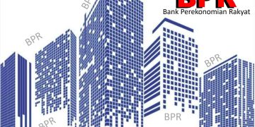 BPR Mengejar Modal Rp6 Miliar, Perlu Tambahan Waktu?